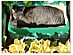 View full size picture
