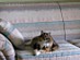View full size picture