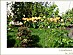 View full size picture