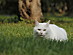 View full size picture
