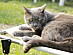View full size picture