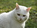 View full size picture