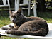 View full size picture