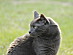 View full size picture