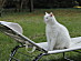 View full size picture