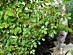 View full size picture
