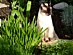 View full size picture