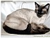 View full size picture