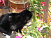 View full size picture