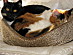 View full size picture