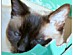 View full size picture