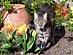 View full size picture
