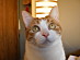 View full size picture