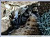 View full size picture