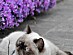 View full size picture
