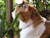 View full size picture