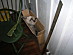 View full size picture