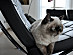 View full size picture