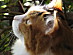View full size picture