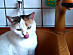 View full size picture
