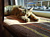 View full size picture