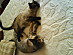 View full size picture