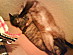 View full size picture