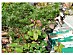 View full size picture