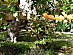 View full size picture