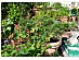 View full size picture