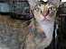 View full size picture