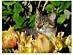 View full size picture