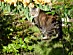 View full size picture
