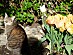 View full size picture