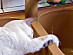 View full size picture