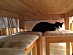 View full size picture