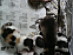 View full size picture