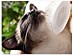 View full size picture