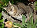 View full size picture
