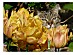 View full size picture
