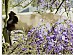 View full size picture