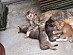View full size picture