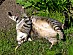 View full size picture