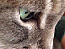 View full size picture