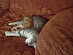 View full size picture
