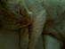 View full size picture
