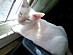 View full size picture