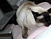 View full size picture