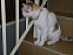 View full size picture