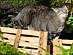 View full size picture